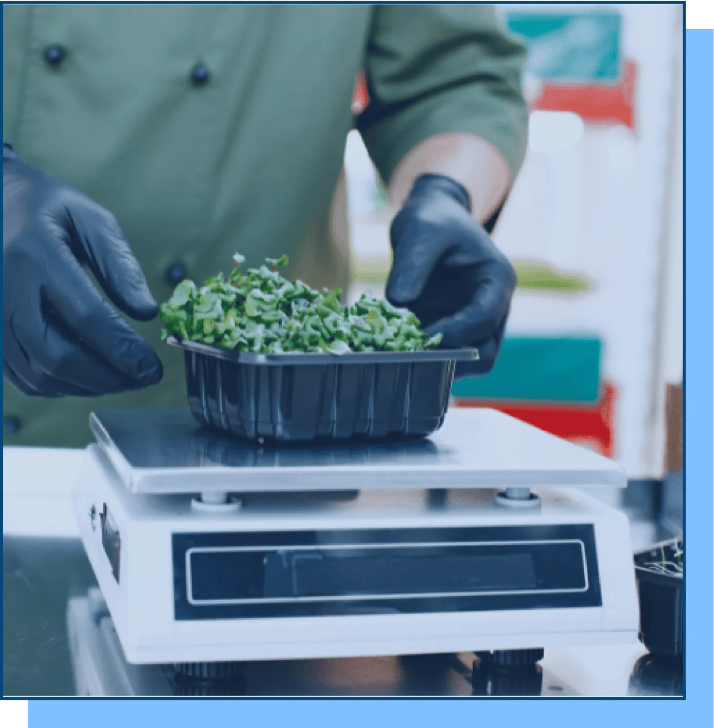 DEHASOFT DESİS TERAZİ ENTEGRASYONU